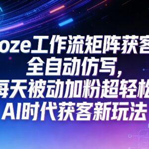 AI时代公众号Coze工作流矩阵获客教程 全自动仿写轻松被动加粉-雨叶虚拟资源网