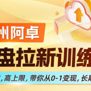 0门槛网盘拉新实操训练营 从0到1掌握长期复利变现全流程-雨叶虚拟资源网