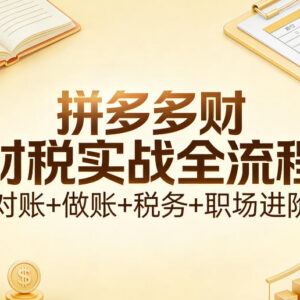 拼多多财税全流程实操教程 对账做账税务及职场进阶详解-雨叶虚拟资源网