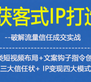 获客型短视频IP打造全流程 信任搭建与变现模式实操指南-雨叶虚拟资源网