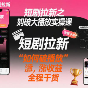 小红书短剧拉新破大播放实操技巧 提升流量增长收益干货分享-雨叶虚拟资源网