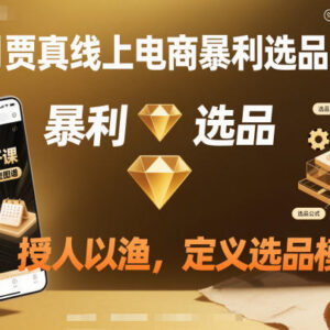 11月贾真线上电商选品大课 掌握选品模型助力店铺利润提升-雨叶虚拟资源网