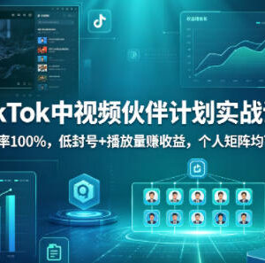 TikTok中视频伙伴计划实战教程 低封号稳过审靠播放量赚收益-雨叶虚拟资源网