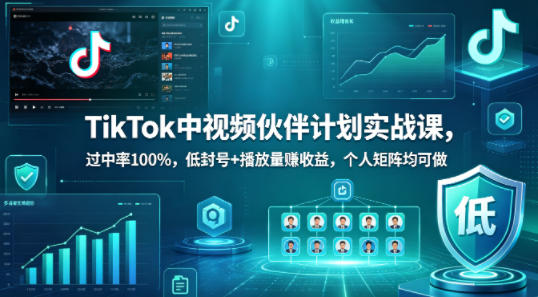 TikTok中视频伙伴计划实战教程 低封号稳过审靠播放量赚收益