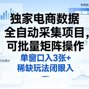 电商数据全自动采集项目详解 可批量矩阵操作的低门槛副业玩法-雨叶虚拟资源网