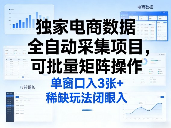 电商数据全自动采集项目详解 可批量矩阵操作的低门槛副业玩法