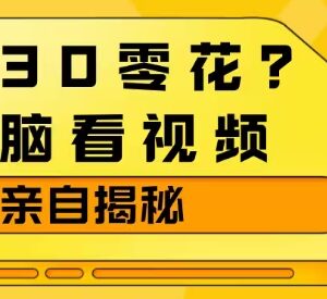 看视频赚零花钱玩法拆解 养机操作稳定获收益方法分享-雨叶虚拟资源网