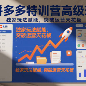 2026年1月更新 拼多多高阶特训营 独家玩法突破店铺运营天花板-雨叶虚拟资源网