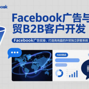 外贸B2B客户开发指南：Facebook广告实操搭建高询盘获客系统-雨叶虚拟资源网