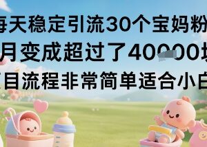 日引30个宝妈粉变现项目拆解 小白操作当月可实现月入过万-雨叶虚拟资源网