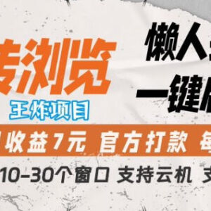 2026转转浏览挂机项目详解 单窗口收益及运行规则说明-雨叶虚拟资源网
