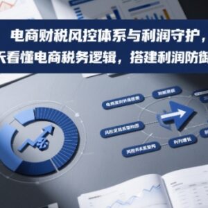 电商财税风控体系搭建教程 3天读懂税务逻辑守护经营利润-雨叶虚拟资源网