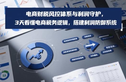 电商财税风控体系搭建教程 3天读懂税务逻辑守护经营利润