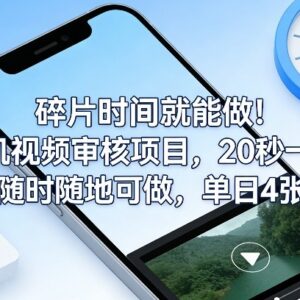 普通人可做的手机视频审核副业 20秒一单碎片时间收益可观-雨叶虚拟资源网