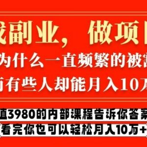 价值3980元网创内部课 揭秘互联网创业月入十万核心方法-雨叶虚拟资源网