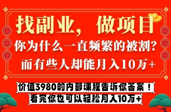 价值3980元网创内部课 揭秘互联网创业月入十万核心方法