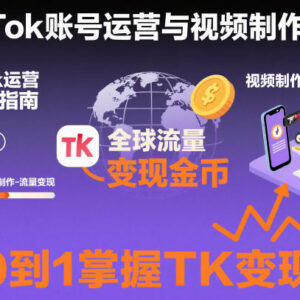 2025TikTok从0到1账号运营与视频制作教程 含11月搬运变现技巧-雨叶虚拟资源网