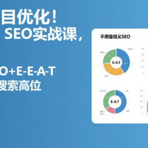 Google SEO实战教程 掌握语义SEO+E-E-A-T提升搜索排名-雨叶虚拟资源网