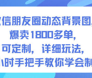 微信朋友圈动态背景图定制玩法 附制作变现全流程实操教程-雨叶虚拟资源网
