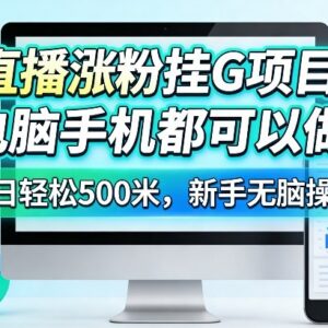 直播涨粉挂机项目玩法揭秘 手机电脑均可操作新手易上手-雨叶虚拟资源网