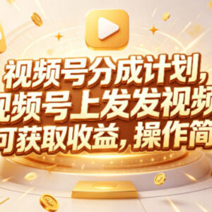 Red团队视频号分成计划实操课程 多赛道内容变现玩法全解析-雨叶虚拟资源网