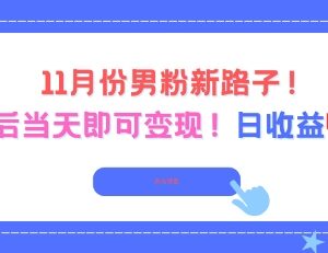 11月男粉运营新玩法 起号当日即可变现单日收益可达400-雨叶虚拟资源网