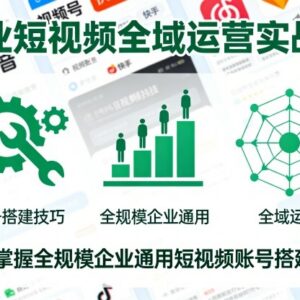 企业短视频全域运营实战课 全规模通用账号搭建运营技巧教学-雨叶虚拟资源网