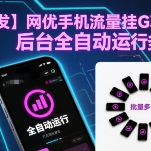 网优手机流量挂机项目介绍 后台全自动运行可批量多开收益稳定-雨叶虚拟资源网