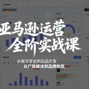 2026年2月更新亚马逊全阶运营课 从账号安全到品牌搭建全教程-雨叶虚拟资源网
