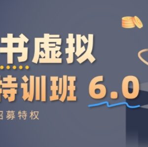 3月更新小红书虚拟项目特训课8.0 从0到1打造稳定盈利店铺-雨叶虚拟资源网