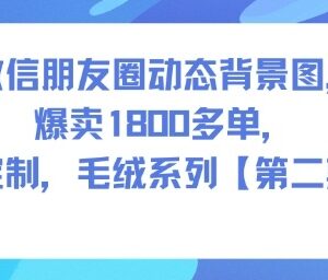 微信朋友圈毛绒动态背景图变现项目 零基础实操爆单教程-雨叶虚拟资源网