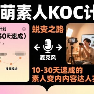 素人KOC实操课程 10-30天速成短剧小说电商推广内容达人-雨叶虚拟资源网