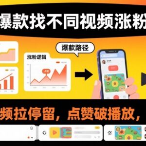 找不同类爆款短视频制作教程 拉停留涨粉破播放实操教学-雨叶虚拟资源网