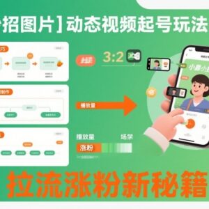 小妙招图片+动态视频起号玩法教学 宝妈粉丝涨粉实操指南-雨叶虚拟资源网