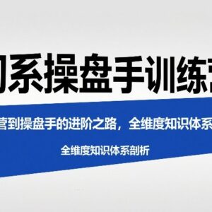 淘系运营进阶操盘手训练营 全维度电商运营知识体系解析-雨叶虚拟资源网