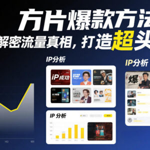 方片小红书爆款方法论拆解 掌握流量逻辑打造头部自媒体IP-雨叶虚拟资源网