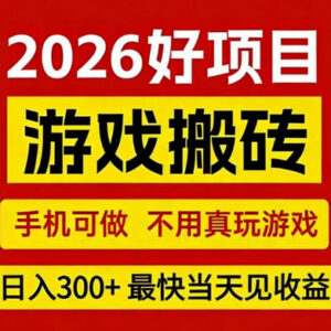 2026年CSGO游戏搬砖项目介绍 全自动操作无需玩游戏支持手机操作-雨叶虚拟资源网