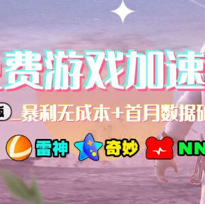 游戏加速器项目4.5版本最新打法 低门槛蓝海项目适合新手操作-雨叶虚拟资源网