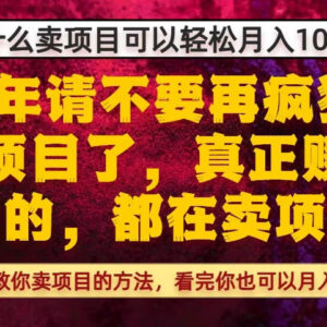 卖项目为什么比做项目赚钱 从0到1卖项目全流程实操指南-雨叶虚拟资源网