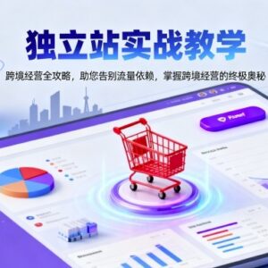 跨境独立站运营实战教学 全链路攻略助你摆脱流量依赖-雨叶虚拟资源网