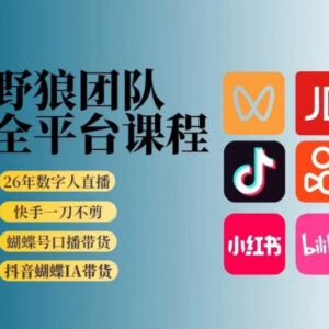 2026野狼团队全平台AI短视频带货教学 零基础系统实操提升课-雨叶虚拟资源网