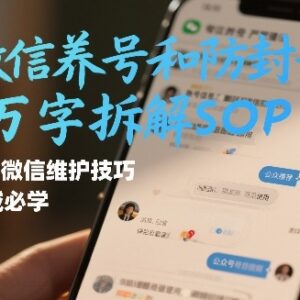 个人微信养号防封号SOP指南 私域运营必学账号维护技巧-雨叶虚拟资源网