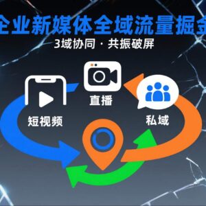 企业短视频全域商业模式课程 3域协同打通流量增长路径-雨叶虚拟资源网