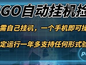 CSGO饰品自动捡漏赚差价项目 手机可操作新手当天可见收益-雨叶虚拟资源网
