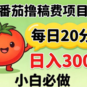 番茄撸稿费零门槛操作指南 每天20分钟新手日入300+玩法揭秘-雨叶虚拟资源网