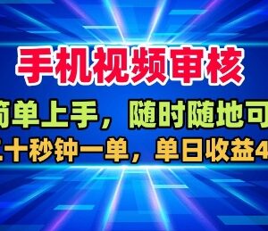 手机视频审核兼职怎么操作？单日赚400元低门槛项目全解析-雨叶虚拟资源网