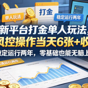 稳定运行两年的单人游戏打金玩法 零基础低门槛当天可获收益-雨叶虚拟资源网
