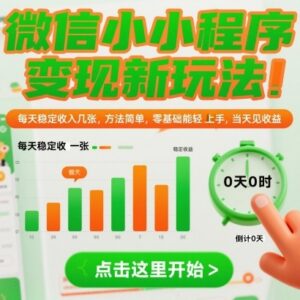 微信小程序变现实用新玩法 零基础易上手空闲时间即可赚收益-雨叶虚拟资源网