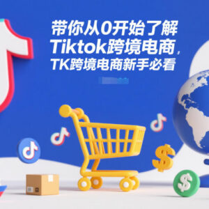 TikTok跨境电商零基础入门指南 新手运营全流程实操教程-雨叶虚拟资源网