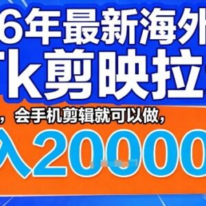 2026海外TikTok剪映拉新蓝海项目 会手机剪辑即可操作-雨叶虚拟资源网